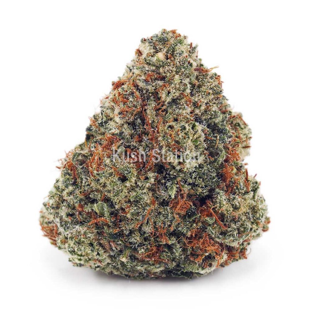 Buy Blueberry Cough AAAA - High Grade Farms  at Kush Station Online Shop