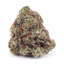 Buy Super Silver Haze AAA - LSO Farms  at Kush Station Online Shop