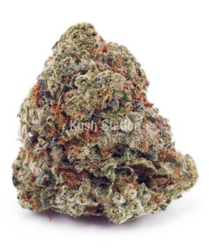 Buy Super Silver Haze AAA - LSO Farms  at Kush Station Online Shop