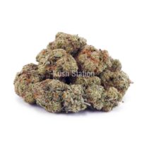 Buy Super Silver Haze AAA - LSO Farms  at Kush Station Online Shop