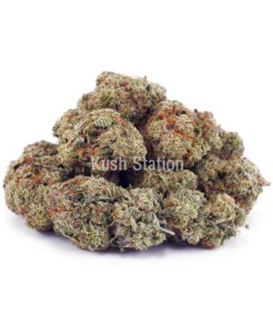 Buy Super Silver Haze AAA - LSO Farms  at Kush Station Online Shop