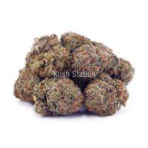 Buy Super Skunk AAA  at Kush Station Online Shop