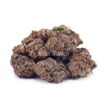 Buy Tropicana Punch AA - High Grade Farms at Kush Station Online Shop