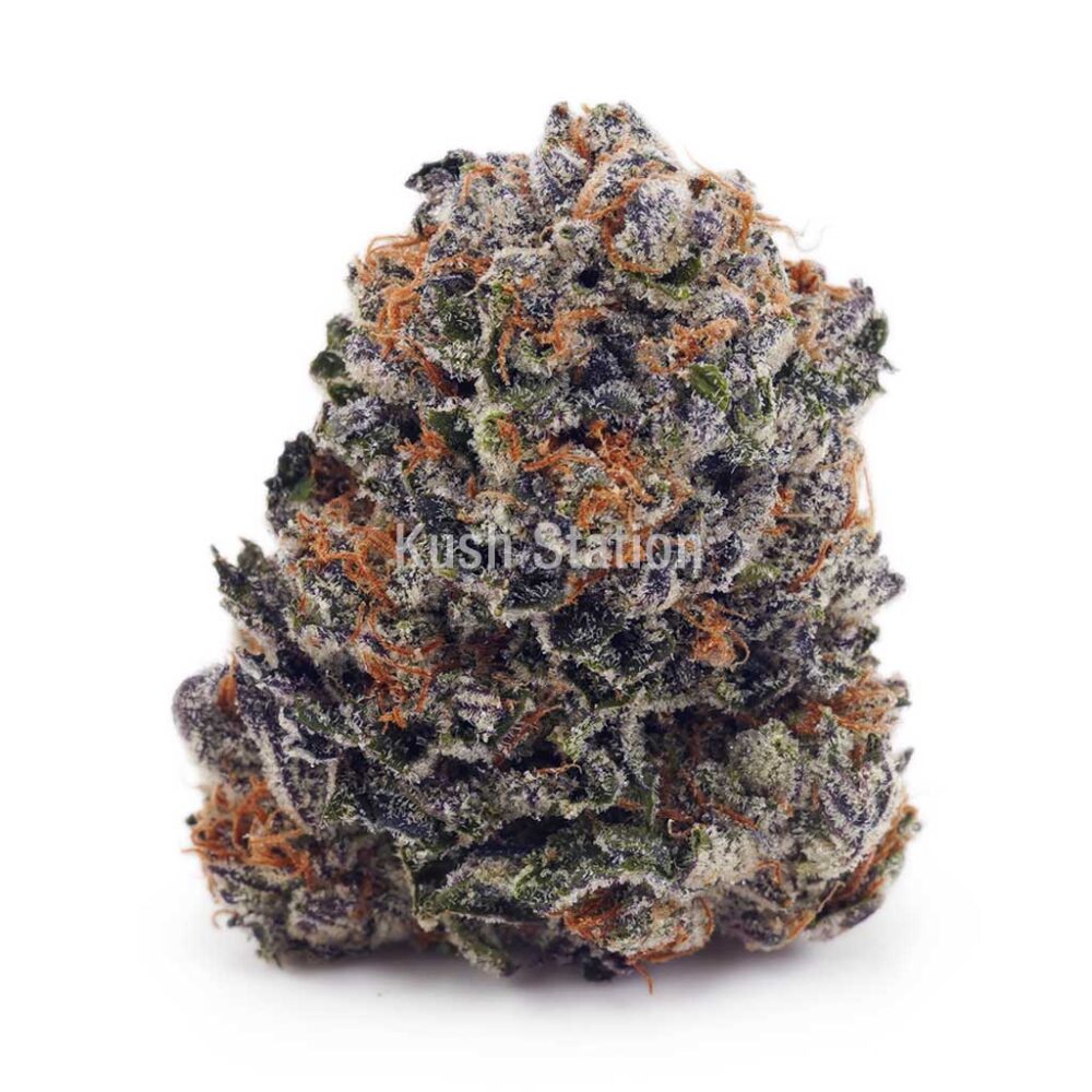 Buy Gushers AA - LSO Farms at Kush Station Online Shop