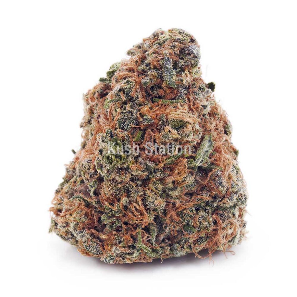 Buy Astro Cookies AA - Only Gas at Kush Station Online Shop