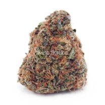 Buy Astro Cookies AA - Only Gas at Kush Station Online Shop