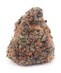 Buy Astro Cookies AA - Only Gas at Kush Station Online Shop