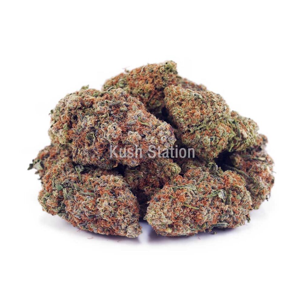 Buy Astro Cookies AA - Only Gas at Kush Station Online Shop