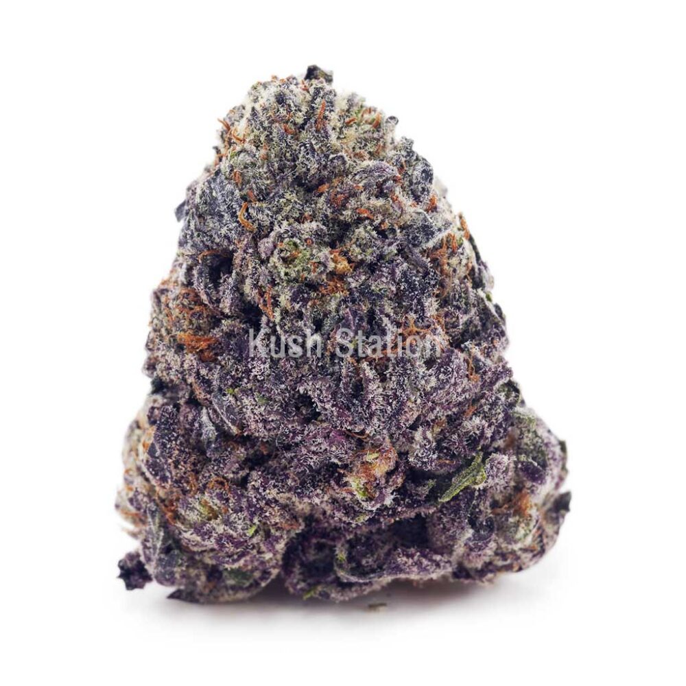 Buy Tangerine Dream AAAA - BC Craft at Kush Station Online Shop