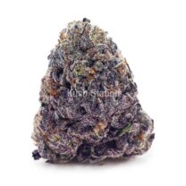 Buy Tangerine Dream AAAA - BC Craft at Kush Station Online Shop
