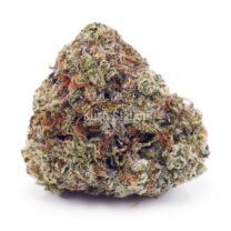 Buy Astro Boy AA - Quadzilla Farms at Kush Station Online Shop