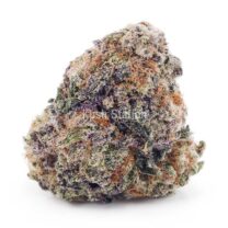 Buy Blue Dream AAAA - Quads Only at Kush Station Online Shop