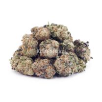 Buy Blue Dream AAAA - Quads Only at Kush Station Online Shop