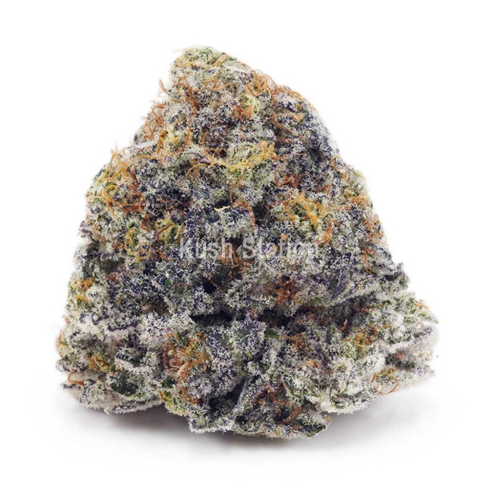 Buy Blueberry Cheesecake AAAA at Kush Station Online Shop