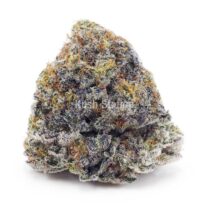 Buy Blueberry Cheesecake AAAA at Kush Station Online Shop