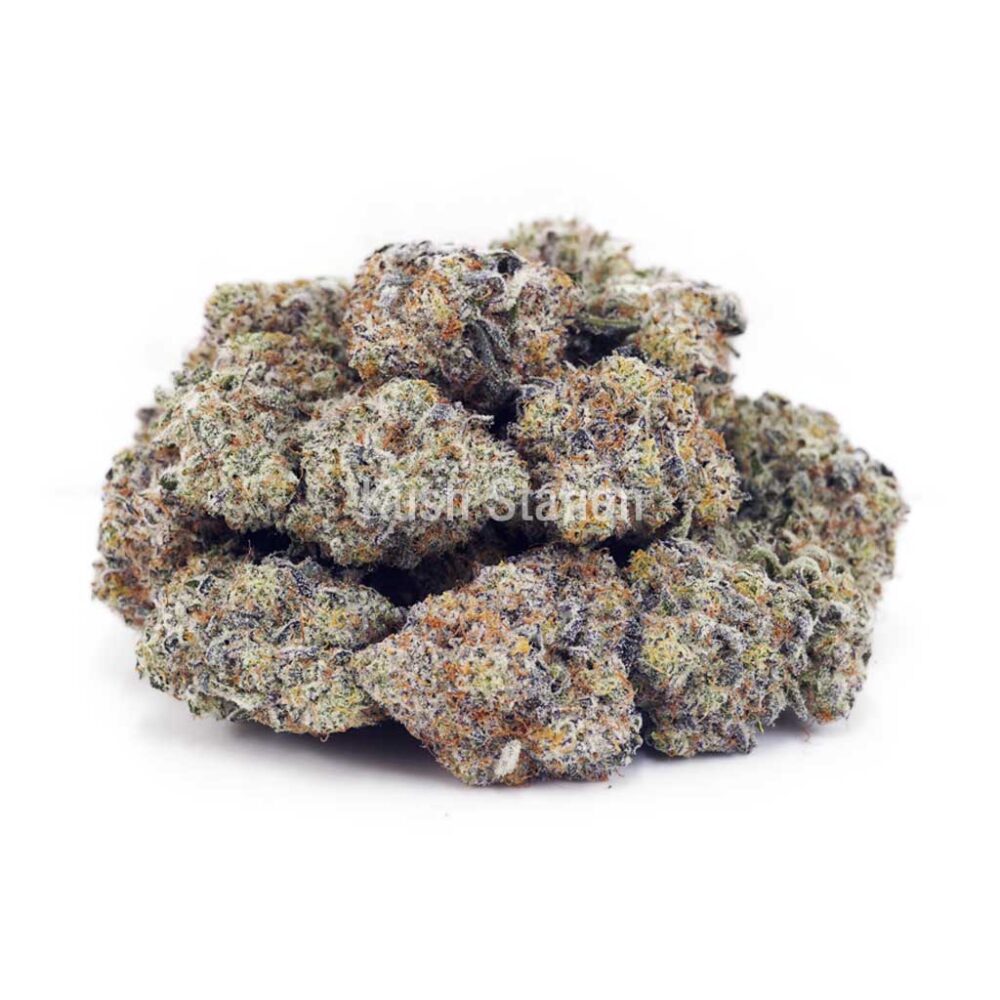 Buy Blueberry Cheesecake AAAA at Kush Station Online Shop