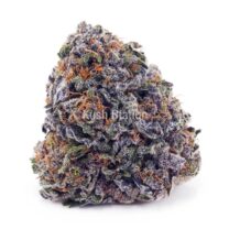 Buy Granddaddy Purple AAAA at Kush Station Online Shop