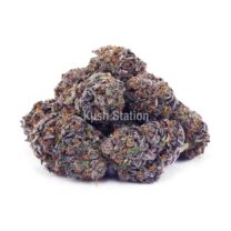 Buy Granddaddy Purple AAAA at Kush Station Online Shop