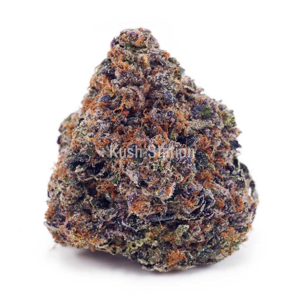 Buy Atomic Blueberry AAAA - Only Gas at Kush Station Online Shop
