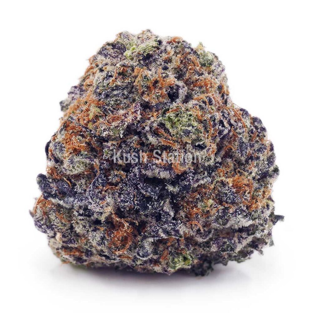 Buy Purple OG AAAA - Quadzilla Farms at Kush Station Online Shop