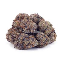 Buy Purple OG AAAA - Quadzilla Farms at Kush Station Online Shop