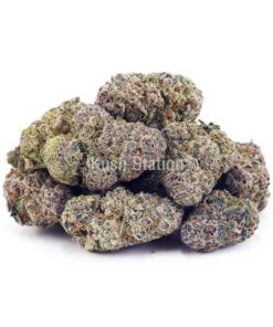 Buy Bubble Gum Kush AAAA - LSO Farms at Kush Station Online Shop