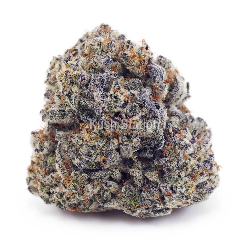 Buy Dank Kush Breath (Craft) - BC Craft at Kush Station Online Shop