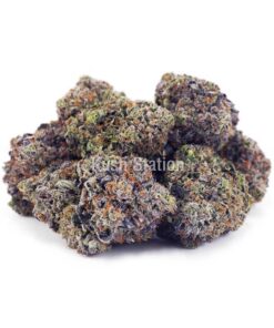 Buy Vintage Gas (Craft Cannabis) - High Grade Farms at Kush Station Online Shop