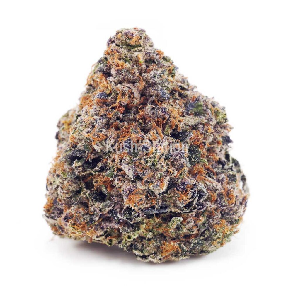 Buy White Cherry Truffle AAAA - Quads Only at Kush Station Online