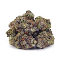 Buy One Punch (Craft) - Quadzilla Farms at Kush Station Online Shop