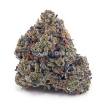 Buy OG Kush AAA - Only Gas at Kush Station Online Shop