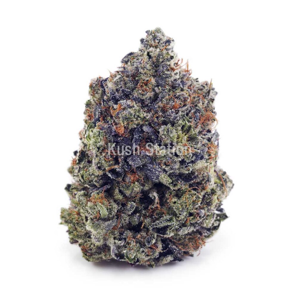 Buy Triangle Octane AAAA - Quadzilla Farms at Kush Station Online Shop