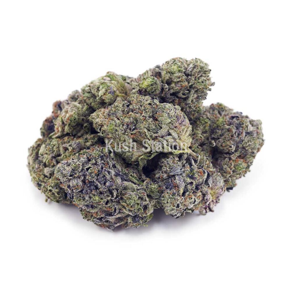 Buy Triangle Octane AAAA - Quadzilla Farms at Kush Station Online Shop