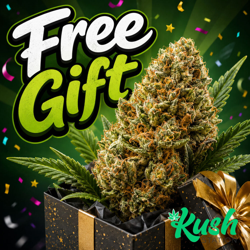 Free Gifts - Preroll