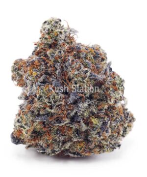 Buy Pineapple Trainwreck AAAA - Quads Only at Kush Station Online Shop