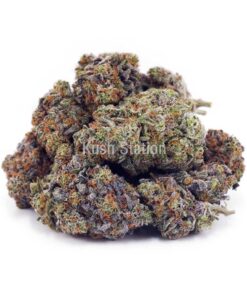 Buy Pineapple Trainwreck AAAA - Quads Only at Kush Station Online Shop