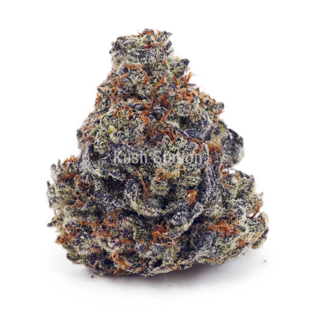 Buy Amnesia Haze AA - Quadzilla Farms at Kush Station Online Shop