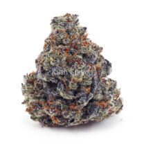 Buy Amnesia Haze AA - Quadzilla Farms at Kush Station Online Shop