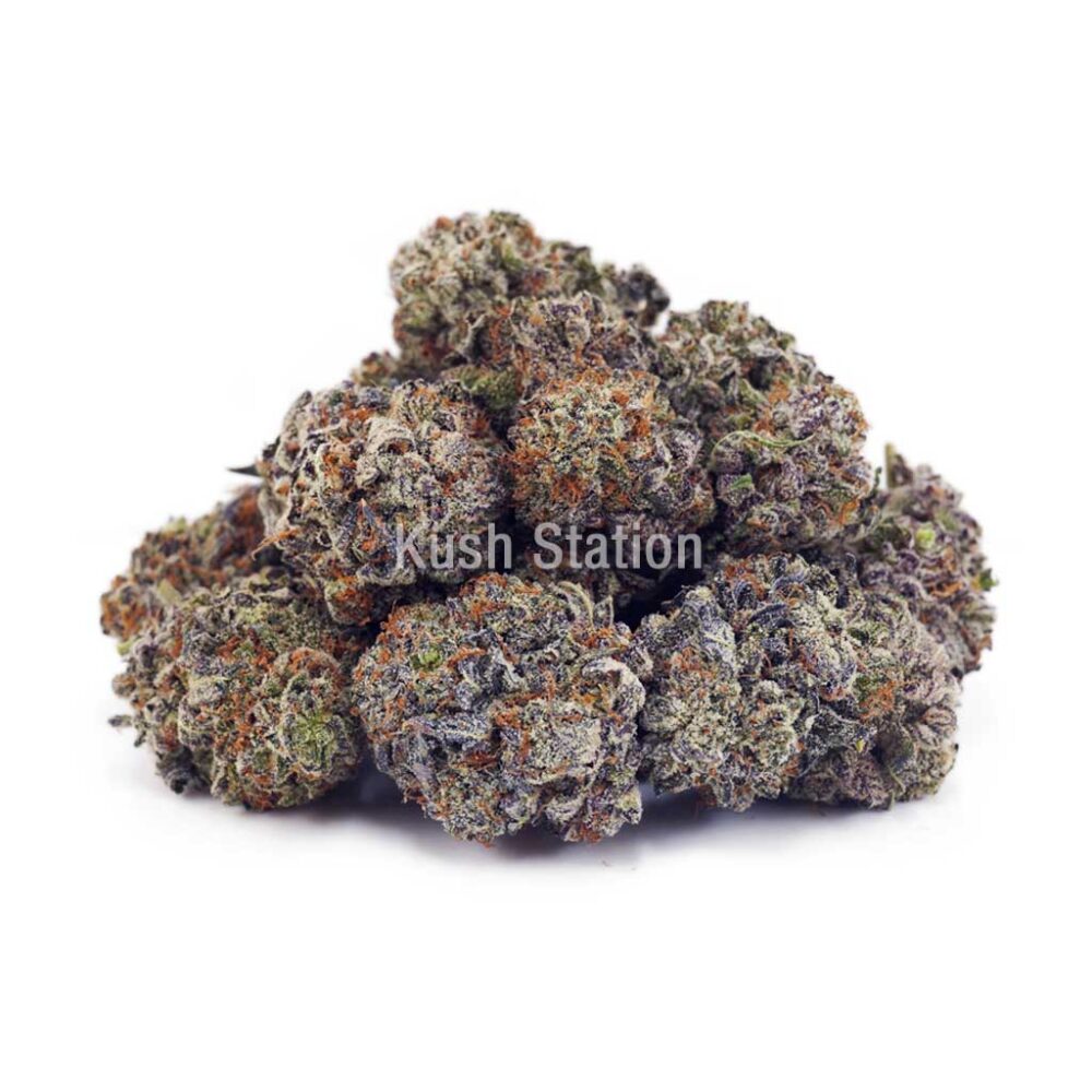Buy Amnesia Haze AA - Quadzilla Farms at Kush Station Online Shop