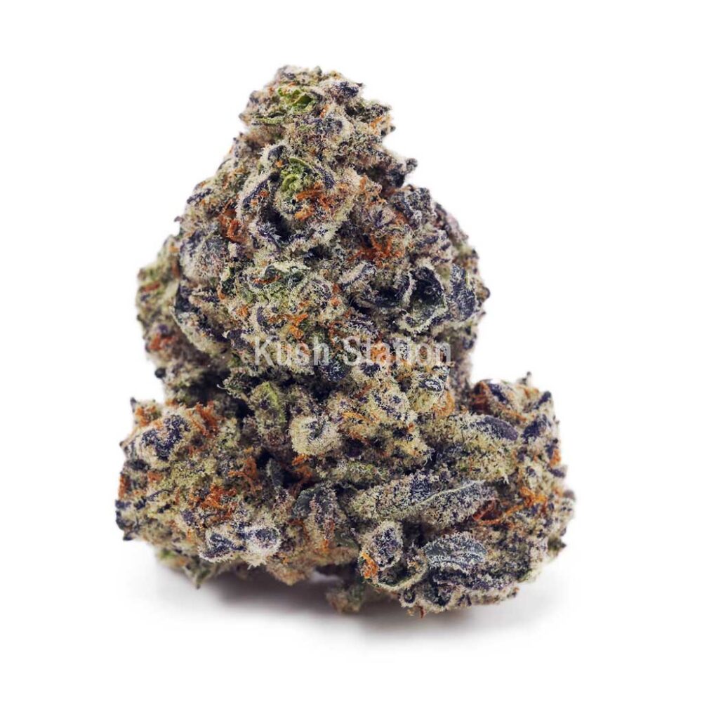 Buy Greasy Pink AA - High Grade Farms at Kush Station Online Shop