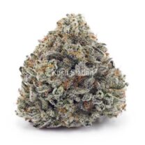Buy White Rhino AA - LSO Farms at Kush Station Online Shop