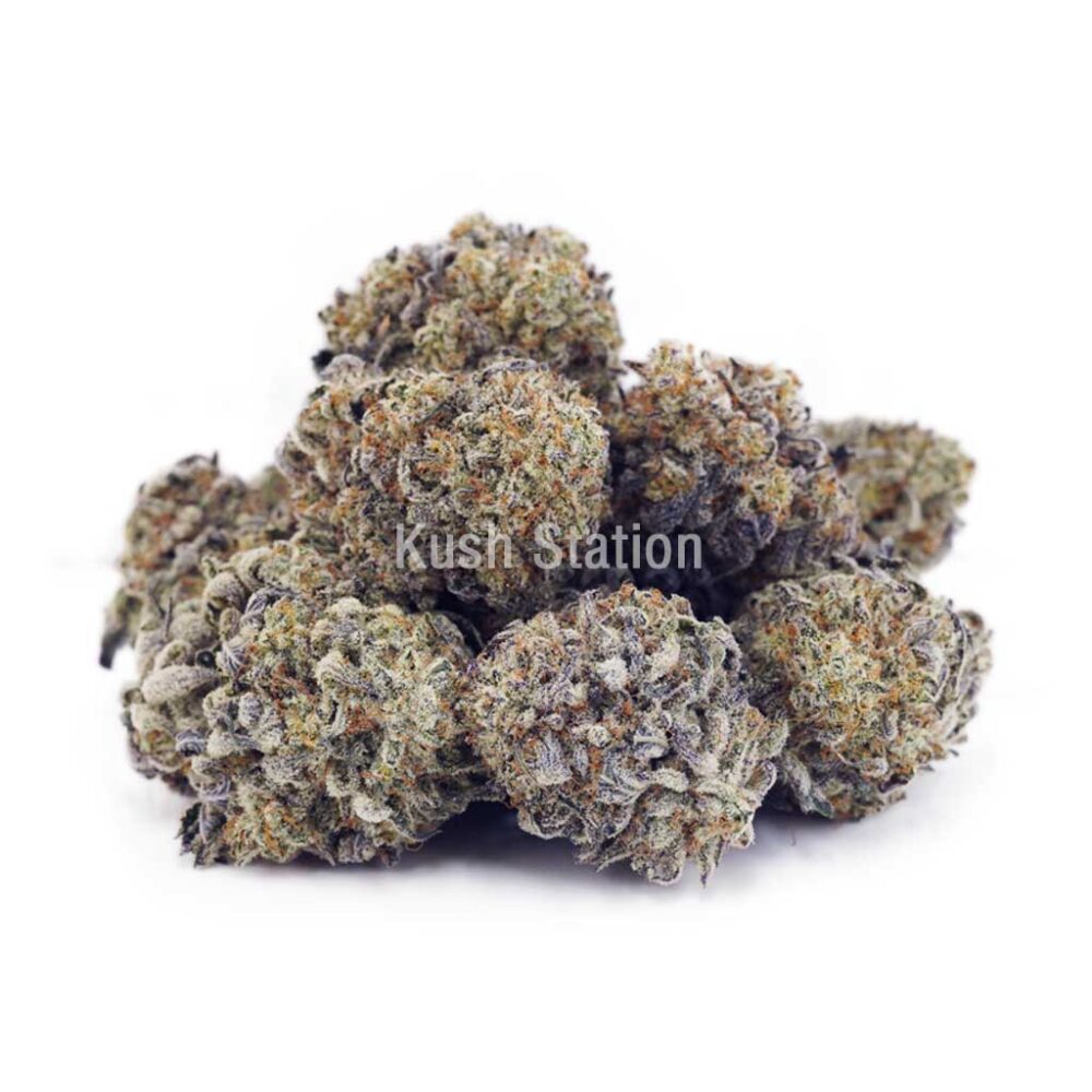 Buy White Rhino AA - LSO Farms at Kush Station Online Shop