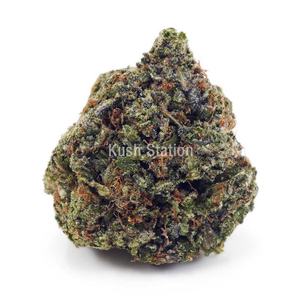 Buy Rock Tuna AAA - Only Gas at Kush Station Online Shop
