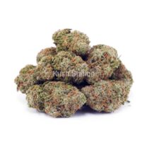 Buy Banana Kush AA - High Grade Farms at Kush Station Online Shop