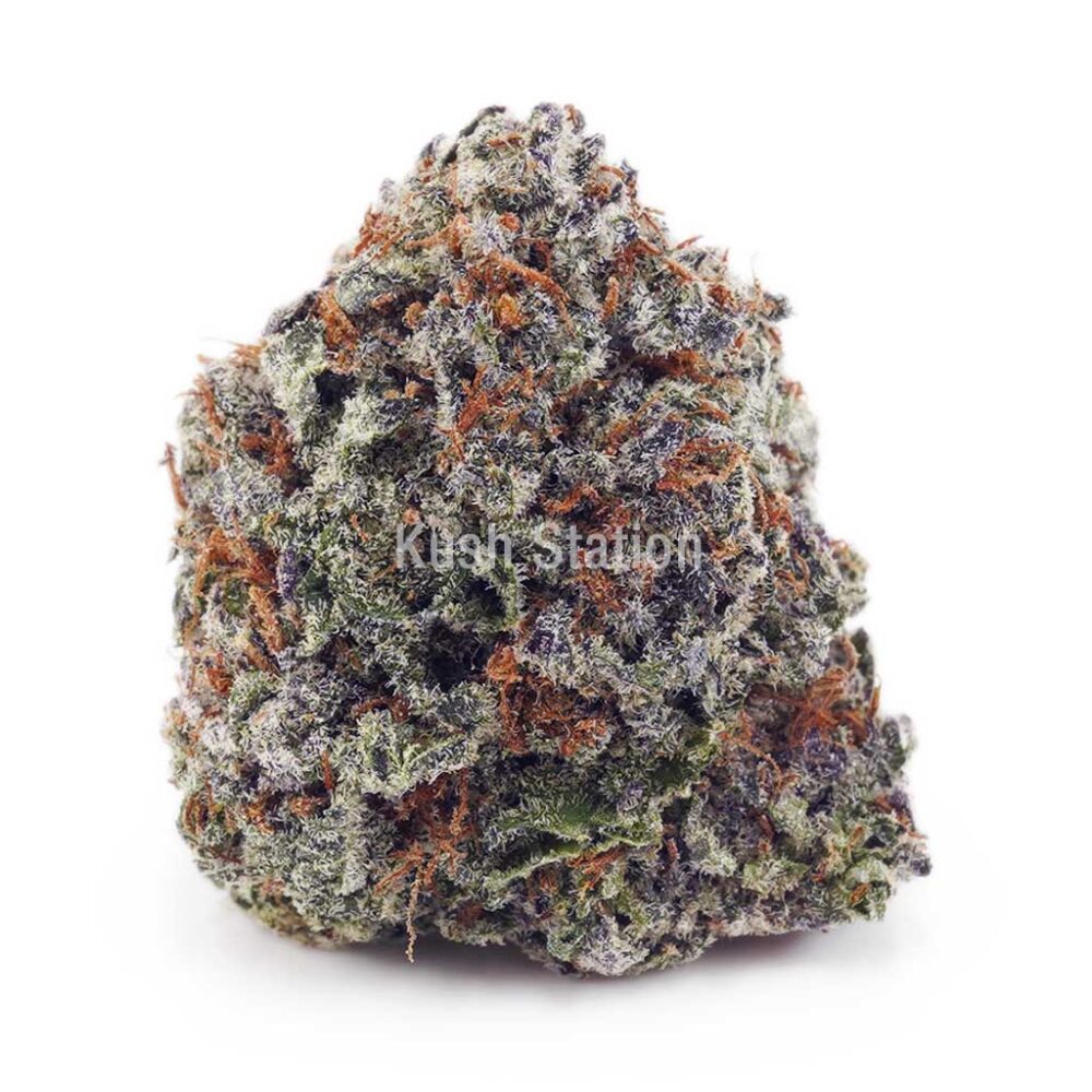 Buy Alaskan Thunder Fuck AAA - Quads Only at Kush Station Online Shop
