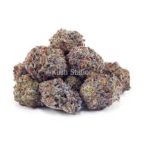 Buy Alaskan Thunder Fuck AAA - Quads Only at Kush Station Online Shop