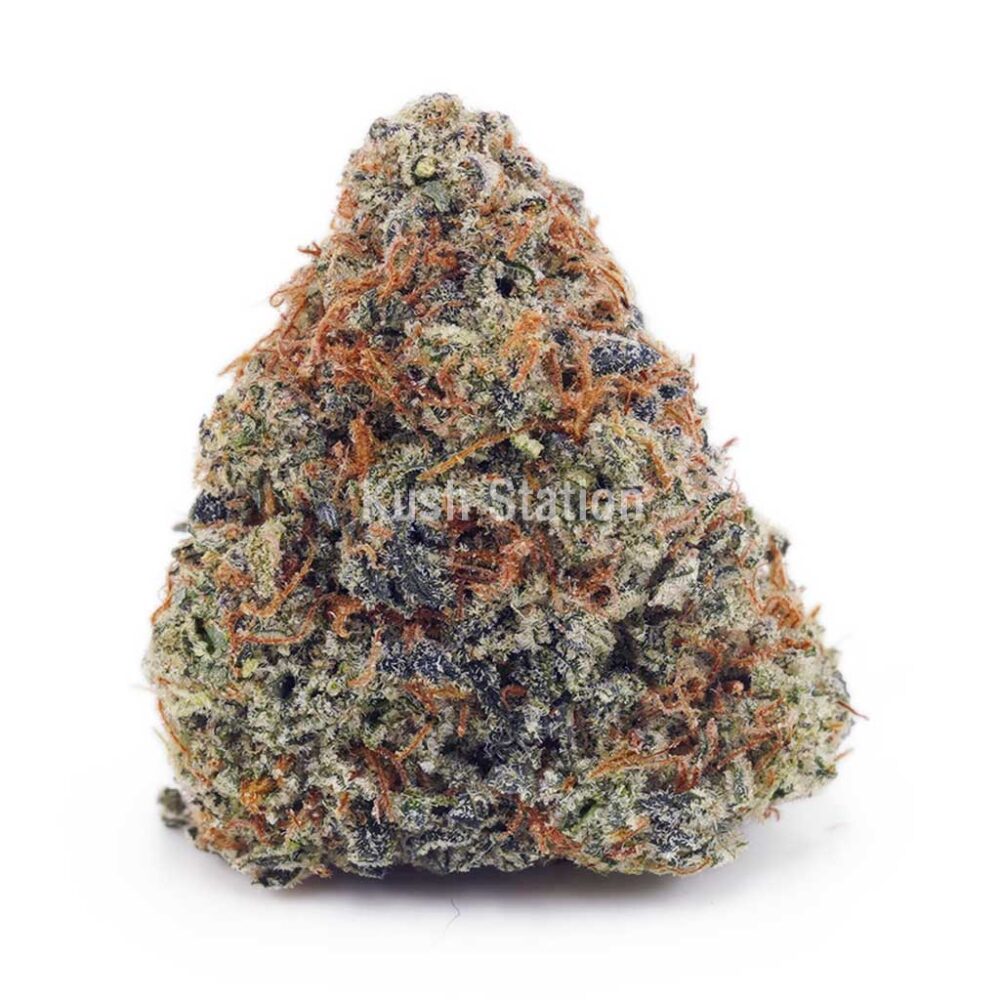 Buy Critical Kush AA at Critical Kush at Kush Station Online Shop