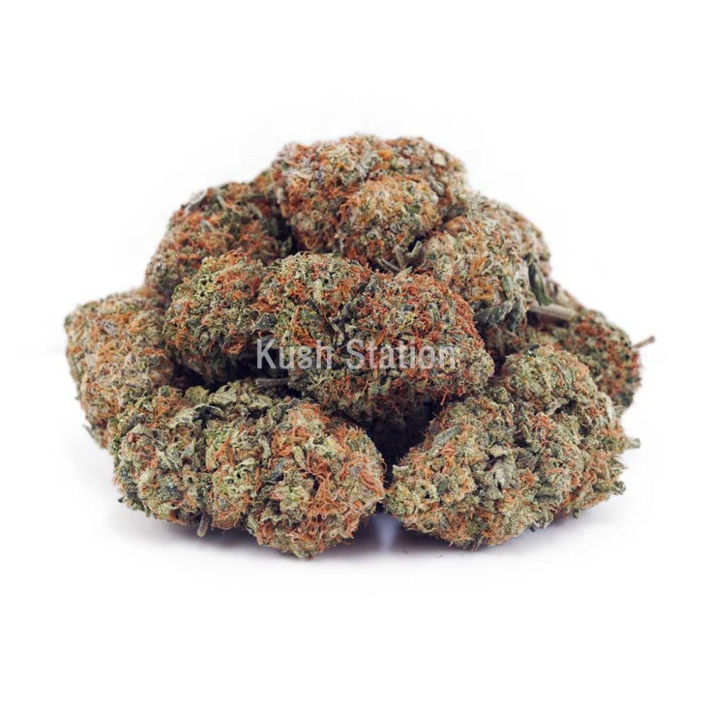 Buy Critical Kush AA at Critical Kush at Kush Station Online Shop