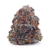 Buy Pineapple Crush (Craft) - LSO Farms at Kush Station Online Shop