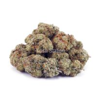 Buy Maui Wowie AAAA at Kush Station Online